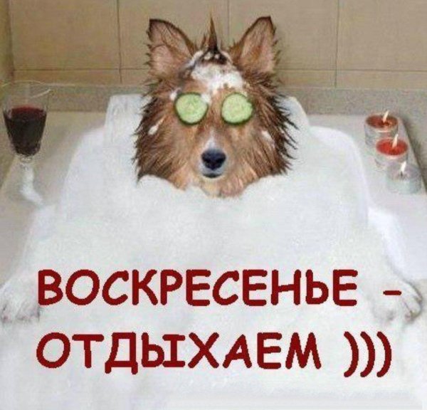 Воскресенье ура