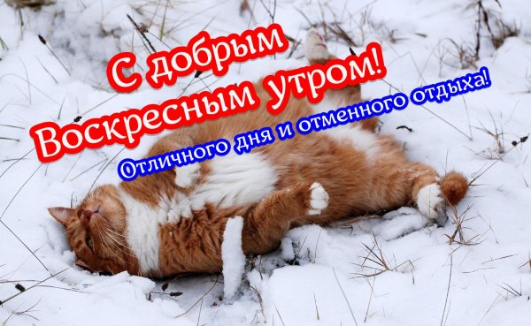 Воскресенье ура