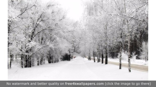 На рабочий стол зима