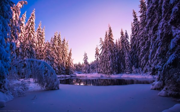 На рабочий стол зима