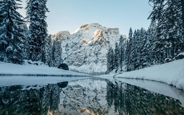 На рабочий стол зима