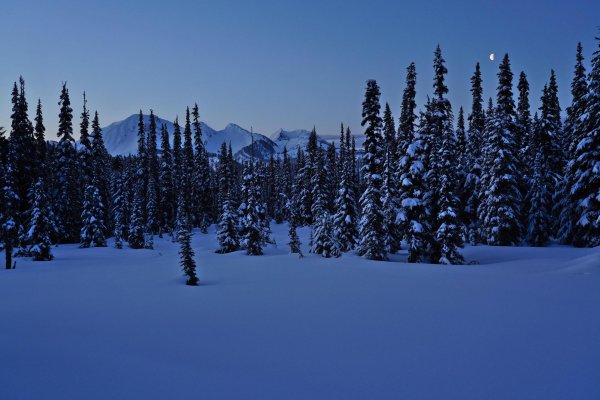 На рабочий стол зима