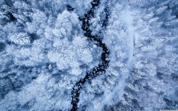 На рабочий стол зима