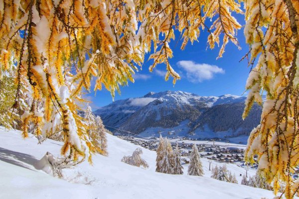 На рабочий стол зима