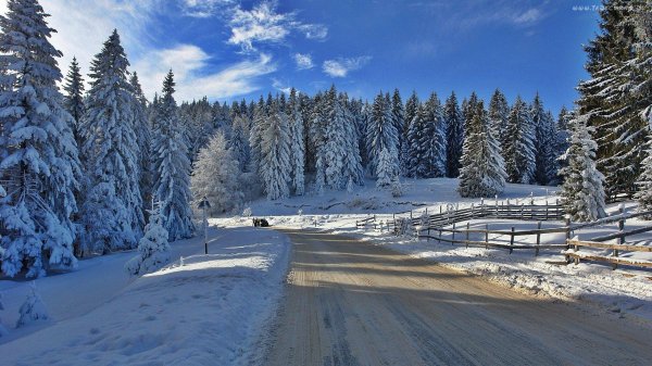 На рабочий стол зима