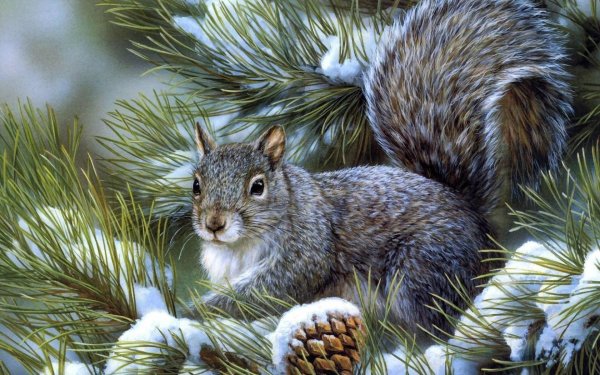 На рабочий стол зима