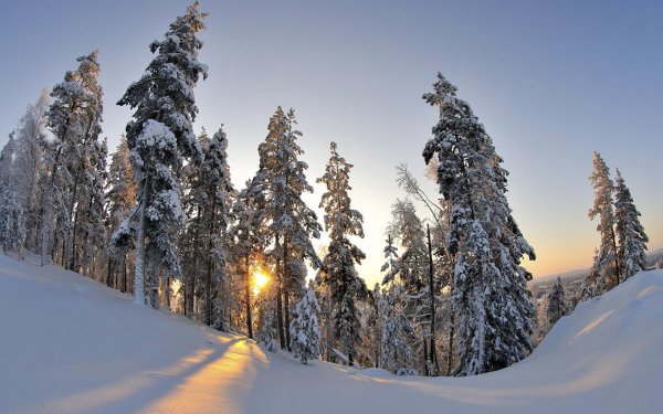 На рабочий стол зима