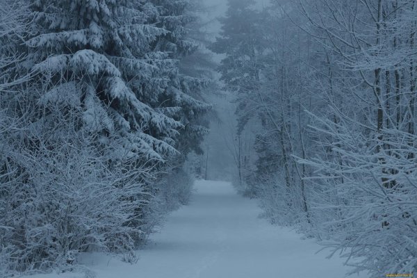 На рабочий стол зима