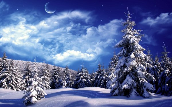 На рабочий стол зима