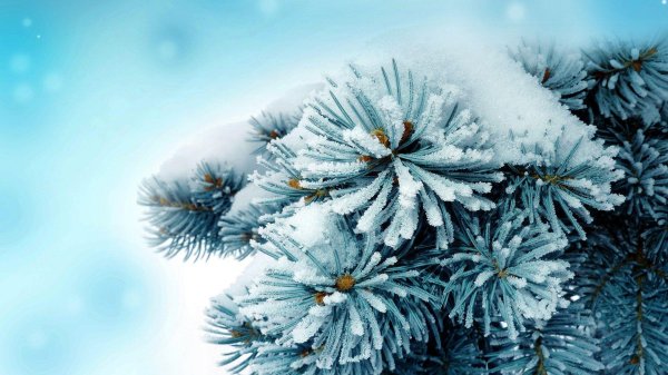 На рабочий стол зима