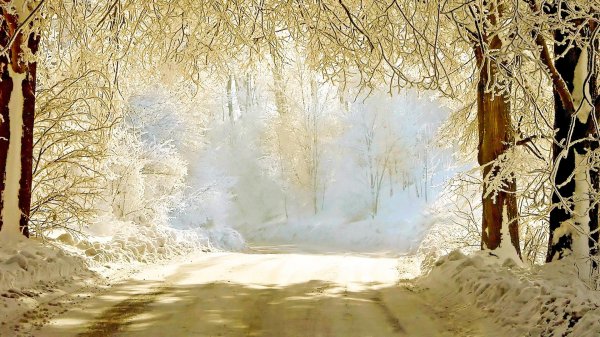 На рабочий стол зима