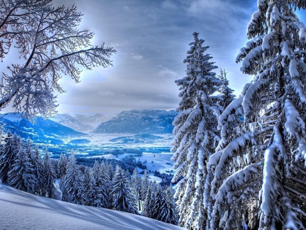 На рабочий стол зима