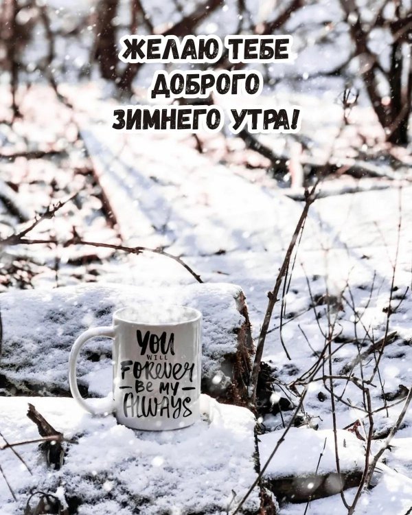 Зима с надписями