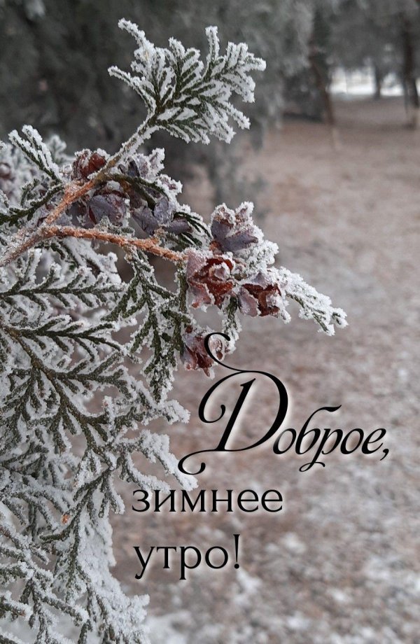 Зима с надписями