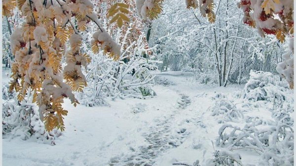 Зима с надписями