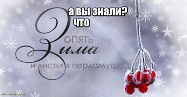 Зима с надписями