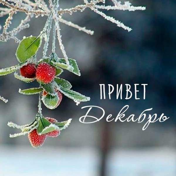 Зима с надписями