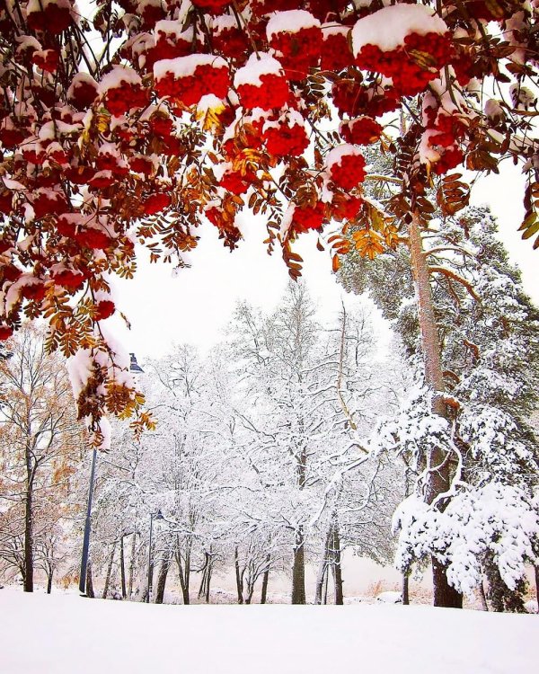 Зима с надписями