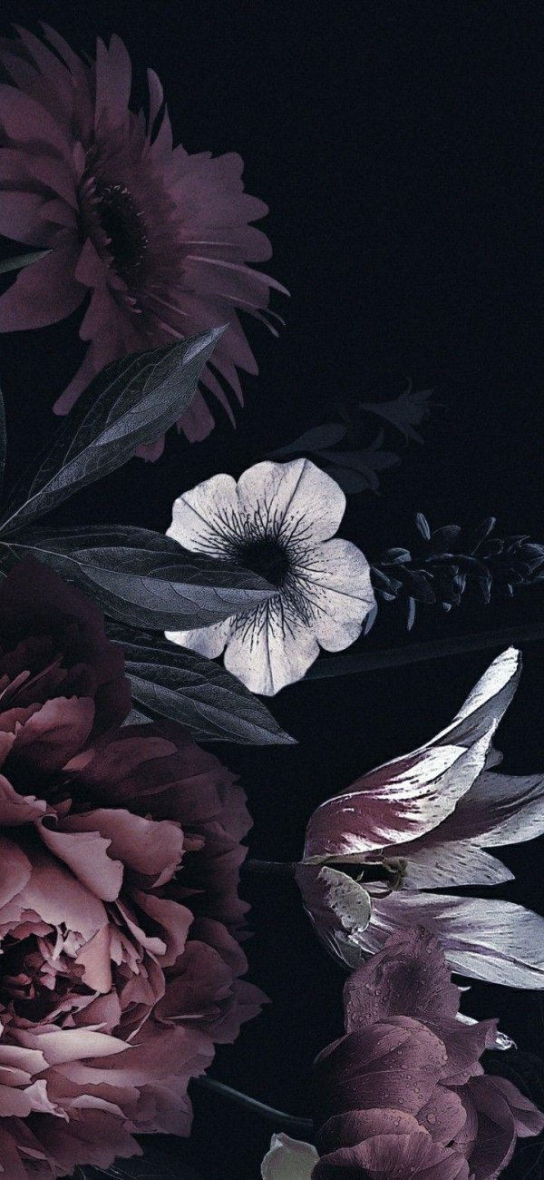 цветочные картины