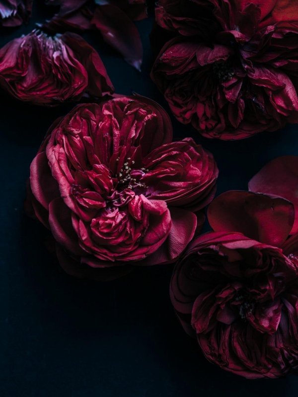 пионы марсала