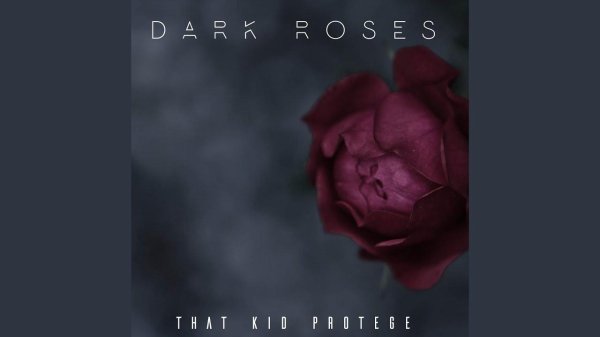 dark rose