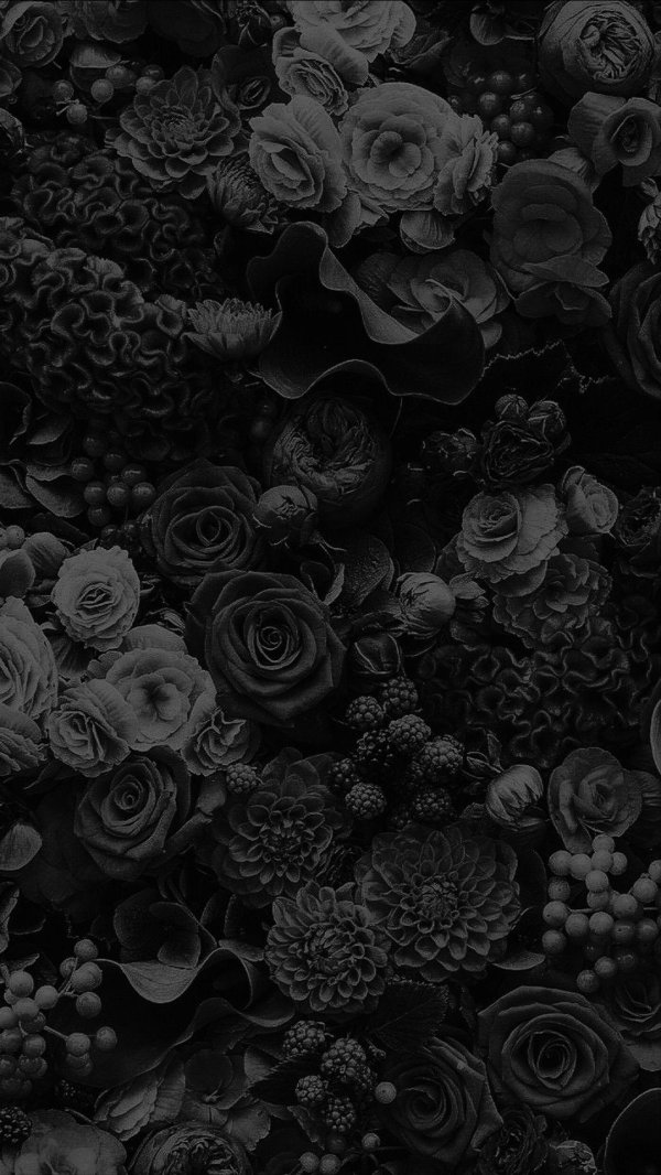 черные розы фон