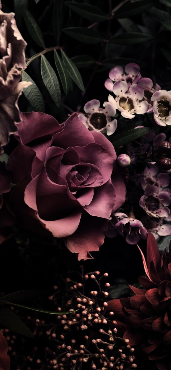 цветочные фоны