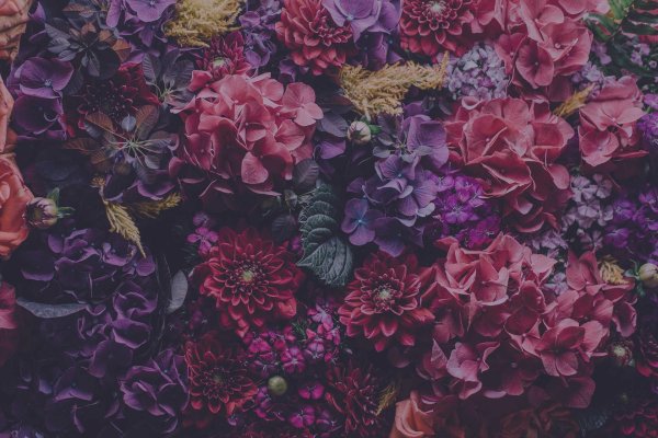 цветочные фоны