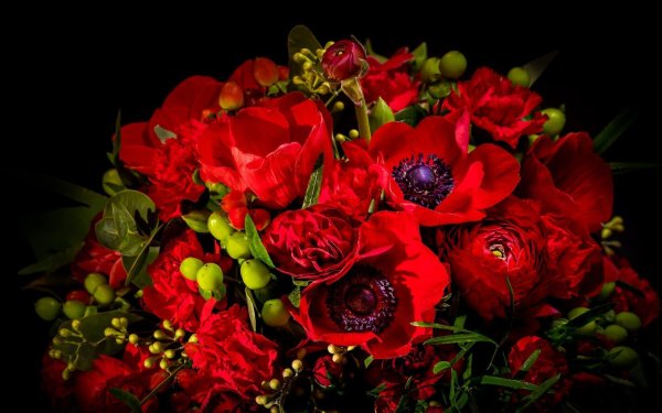 букет красных анемонов