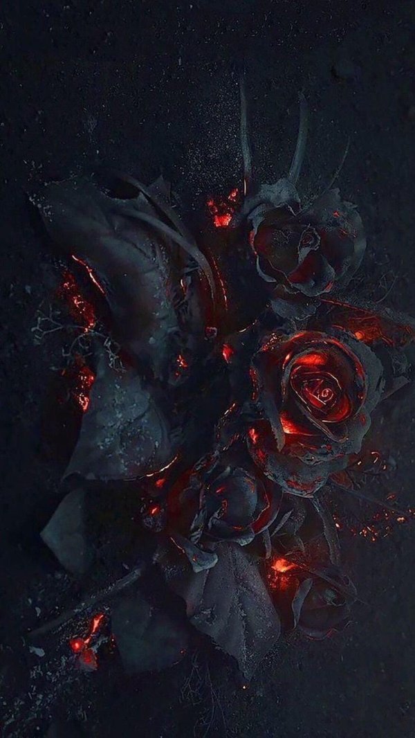 дарк роуз эстетика