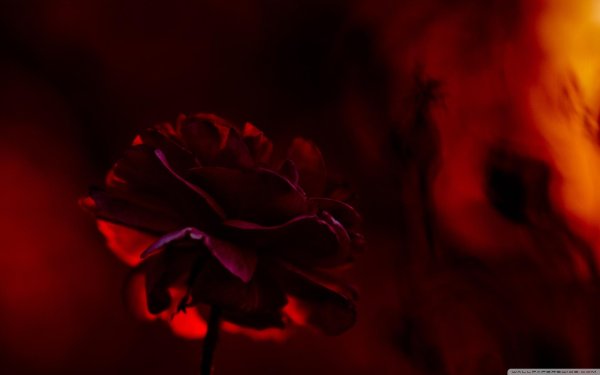 красно черный фон