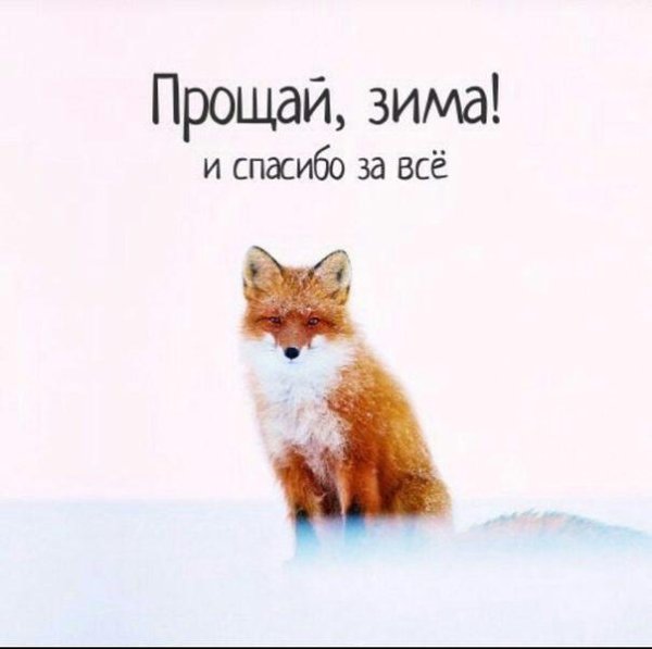 Прощай зима