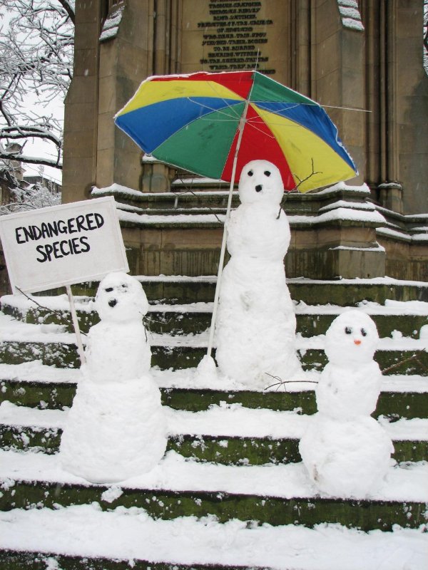 Прощай зима