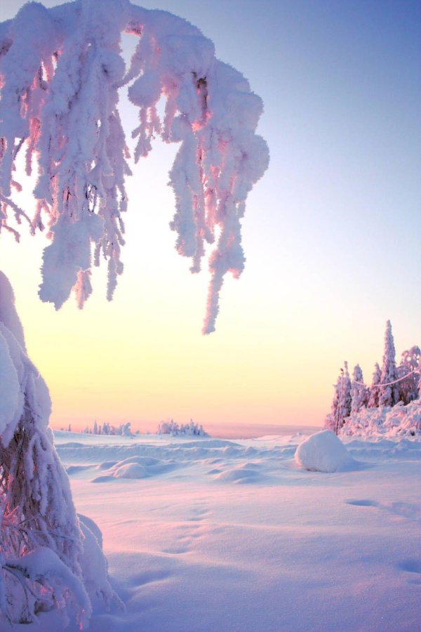 Прощай зима