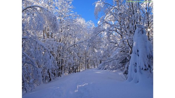 Прощай зима