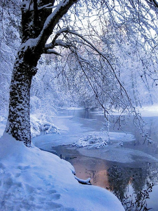 Прощай зима