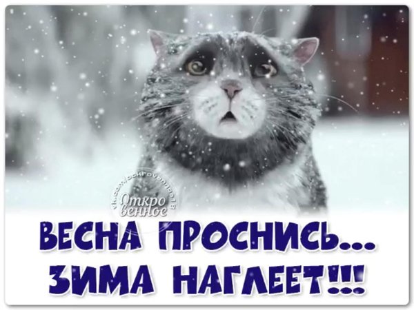 Прощай зима