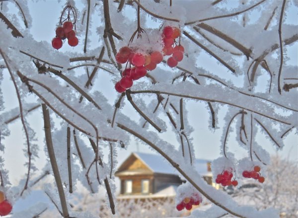 Прощай зима