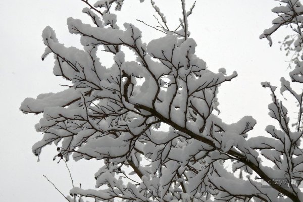 Прощай зима