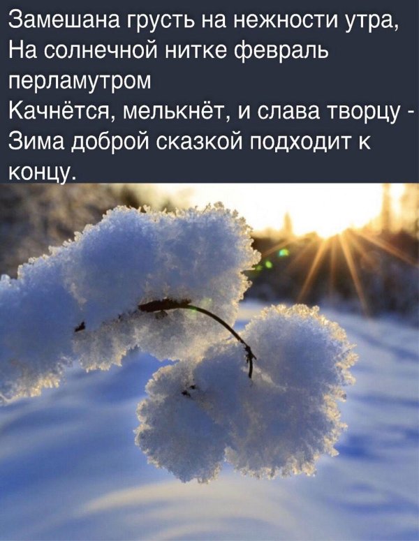 Прощай зима