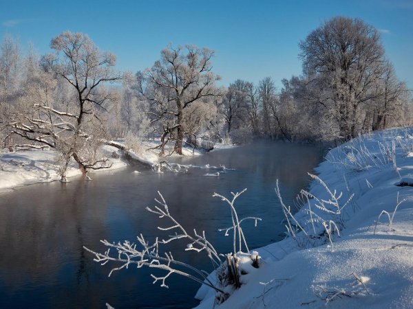 Прощай зима