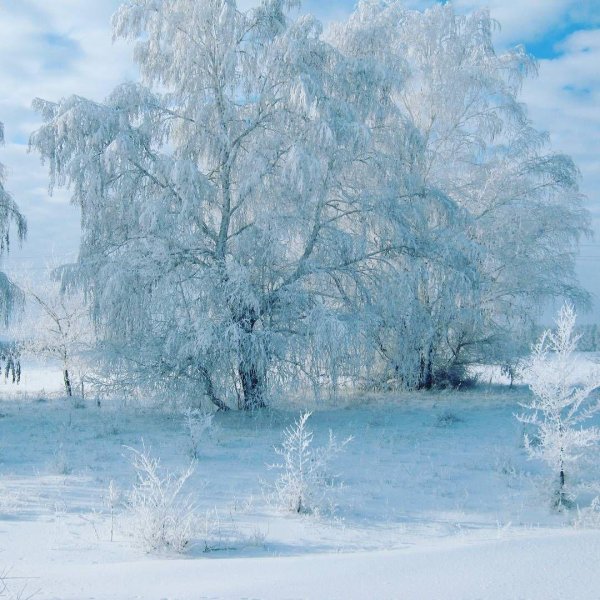 Прощай зима