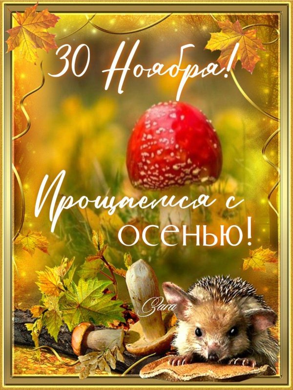 До свидания зима