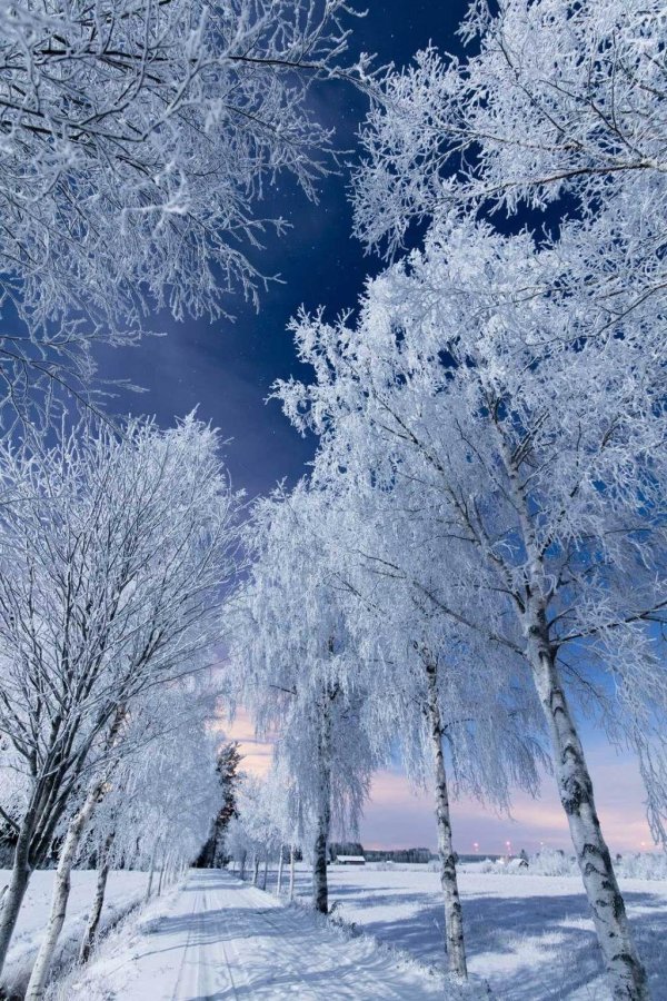 До свидания зима