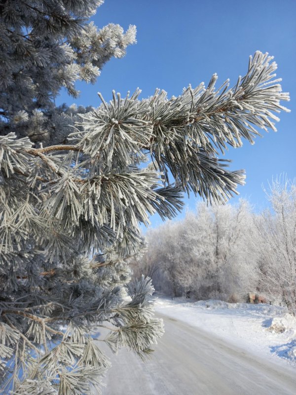 До свидания зима