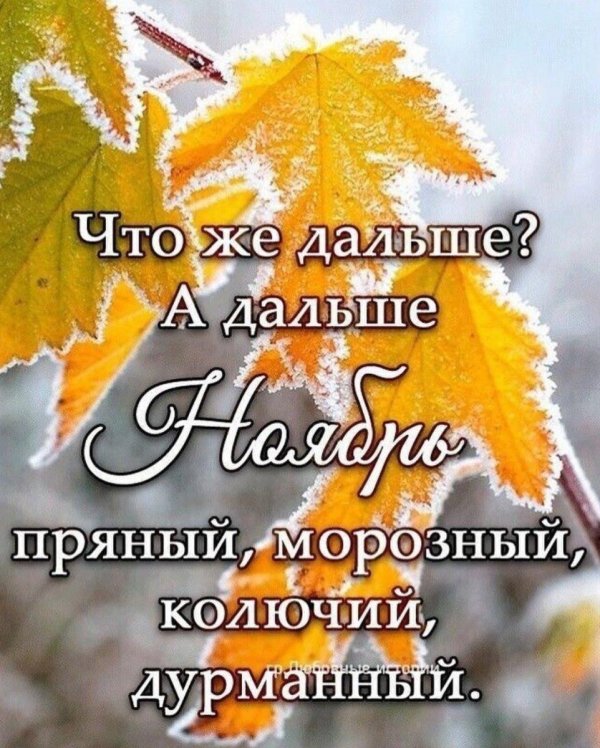 До свидания зима