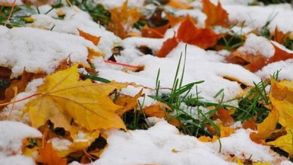 До свидания зима