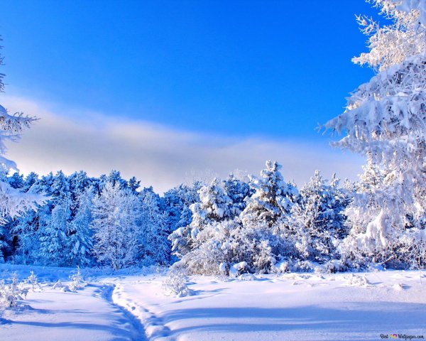 До свидания зима