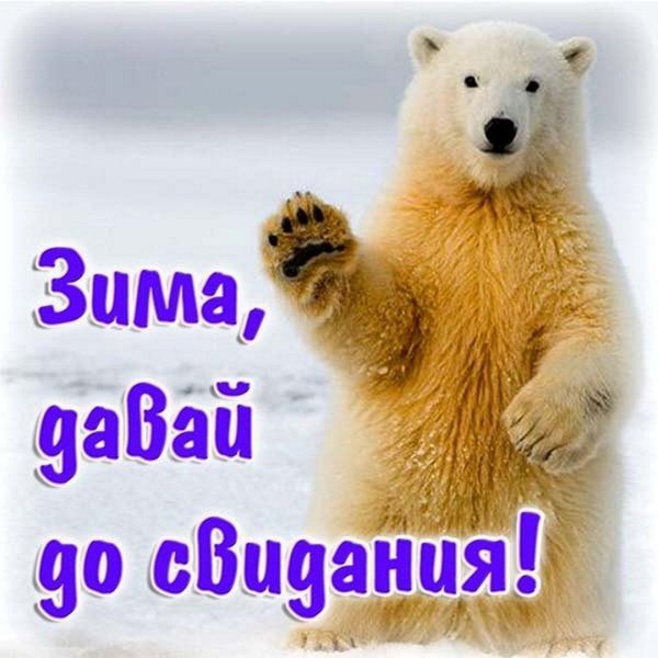 До свидания зима