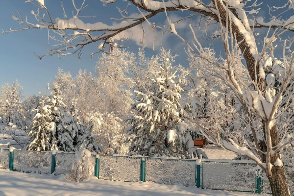 До свидания зима